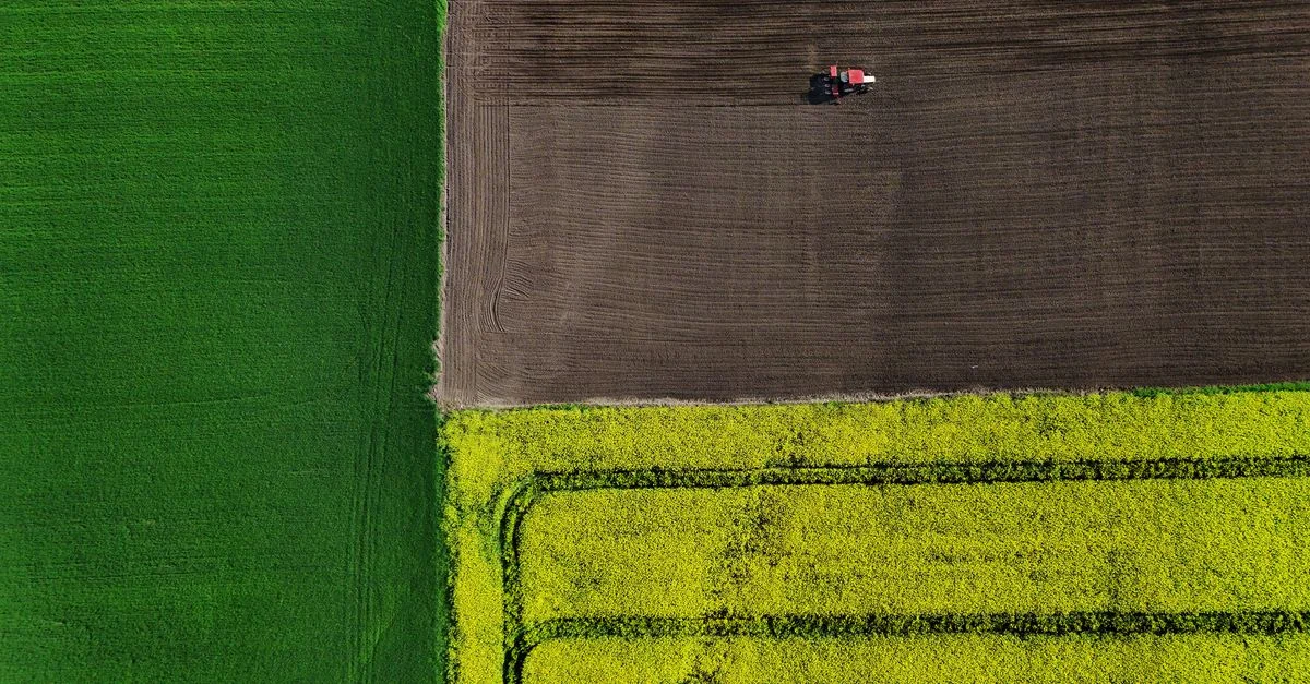 Prise de vue aérienne de champs colorés avec un tracteur, mettant en valeur la beauté de l'agriculture.